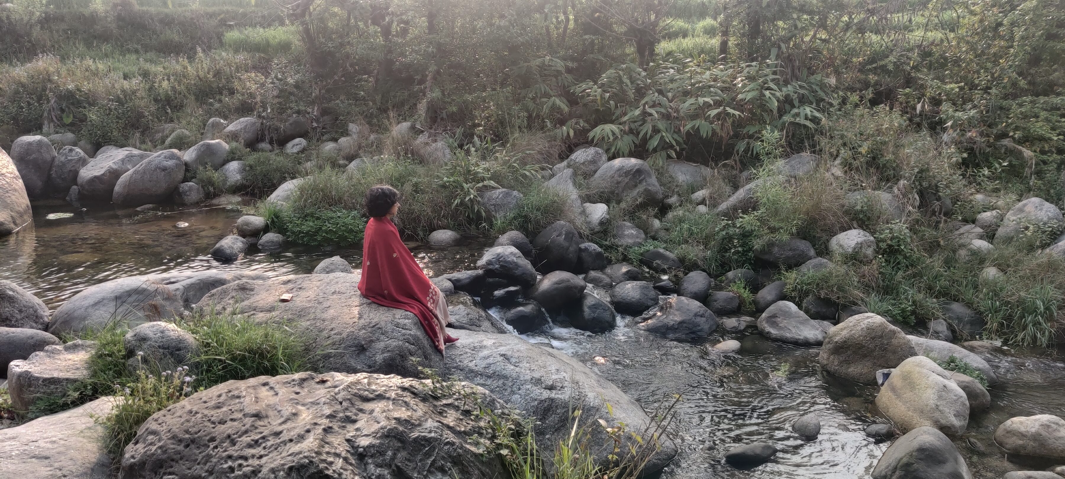 Meditation In The Himalayas: Finding Harmony Amidst Nature'S Grandeur 4 Meditation in the Himalayas