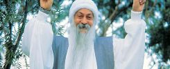 Osho Birthday Celebration