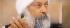 Osho Says