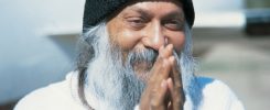 Meditation Is A Flower 2 osho102