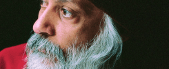 Heart Is The Door 1 osho 3